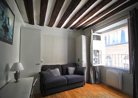 Le salon avec le canapé convertible