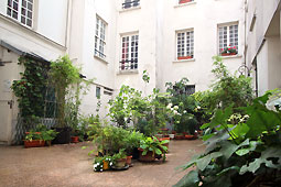 Cour de l'Immeuble
